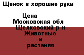 Щенок в хорошие руки. › Цена ­ 4 000 - Московская обл., Щелковский р-н Животные и растения » Собаки   